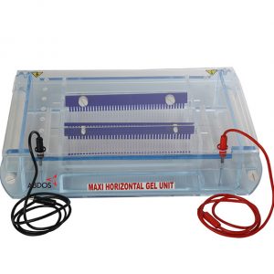 https://ongenlab.com/wp-content/uploads/2021/08/ABDOS-MAXI-Horizontal-Electrophoresis-System-300x300.jpg