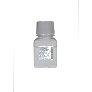 https://ongenlab.com/wp-content/uploads/2021/08/Amphotericin-B-Solution-RAL-005-100ML-300x300.png