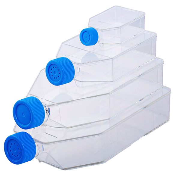 Cell Culture Flasks, PS