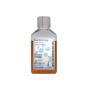 Foetal Bovine Serum - Charcoal Stripped - S-FBS-IR-045 https://ongenlab.com/wp-content/uploads/2021/08/Foetal-Bovine-Serum-Charcoal-Stripped-S-FBS-IR-045-300x300.png