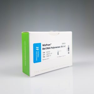 WizPure™ Bst DNA Polymerase (Large Fragment, exo-) https://ongenlab.com/wp-content/uploads/2021/08/WizPure™-Bst-DNA-Polymerase-Large-Fragment-exo--300x300.jpg