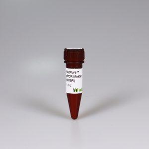 WizPure™ qPCR Master (SYBR) https://ongenlab.com/wp-content/uploads/2021/08/WizPure™-qPCR-Master-SYBR-300x300.jpg
