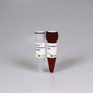 https://ongenlab.com/wp-content/uploads/2021/08/WizPure™-qPCR-Master-UDG-PROBE-300x300.jpg