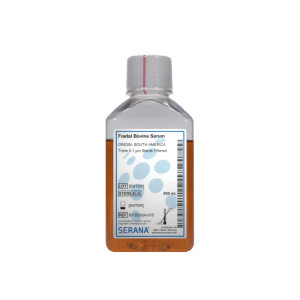 https://ongenlab.com/wp-content/uploads/2021/08/foetal-bovine-serum-triple-01-sterile-filtered-300x300.png